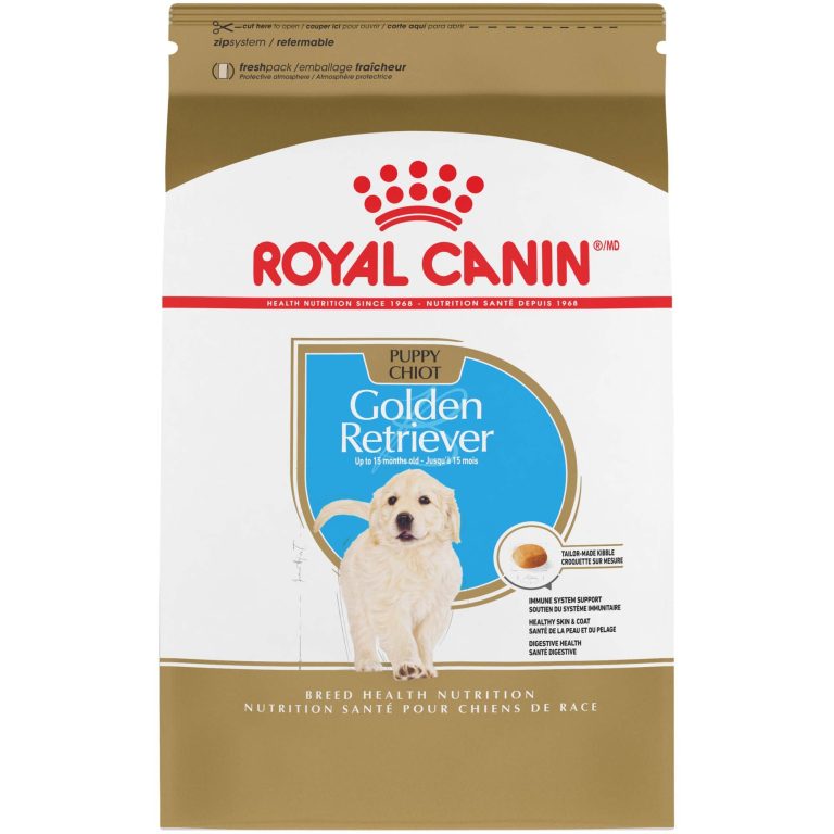 best-dog-food-for-golden-retrievers_1725274425