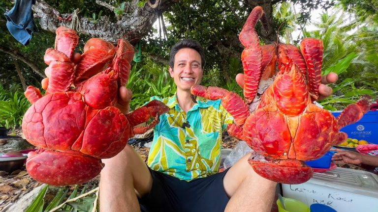 can-you-eat-coconut-crabs_1725274919